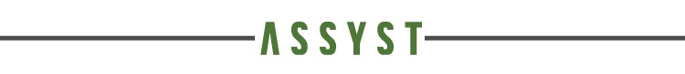 assyst-brand-divider-bar.png