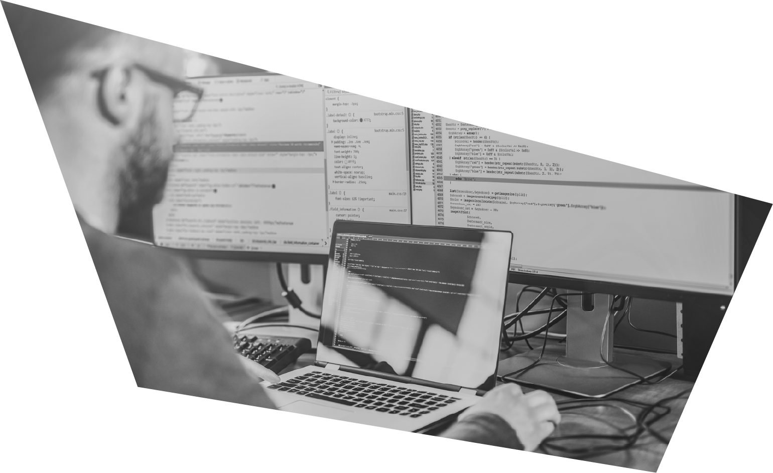 Software Development